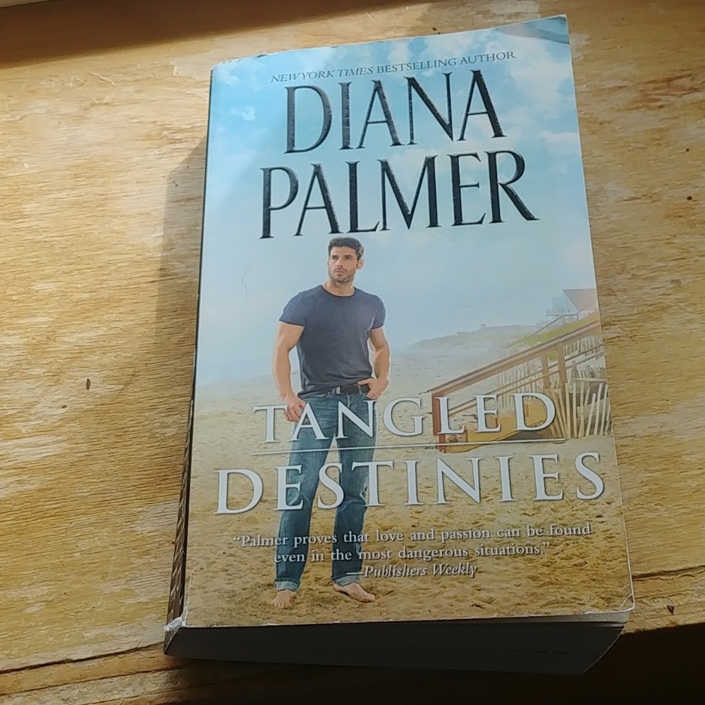 Romance novel